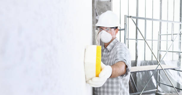 Reliable Idabel, OK Mold Removal & Remediation Solutions